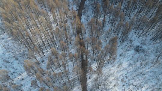 东北冬天雪地汽车行驶森林航拍