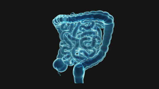 全息技术实现肠道环形旋转