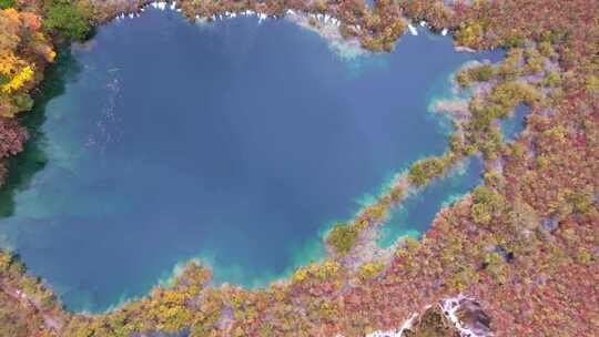 航拍九寨沟秋天诺日朗瀑布镜海彩林水景秋景