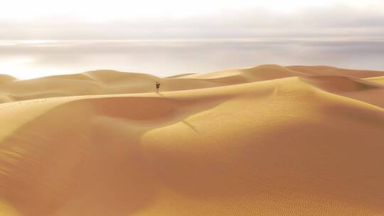 一个站在纳米比亚纳米布沙漠美丽沙丘上的女模特