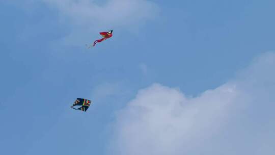 风筝在蓝天上翱翔视频素材模板下载