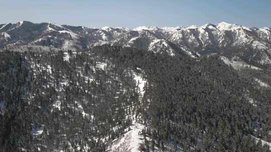 雪山景观中森林的无人机镜头