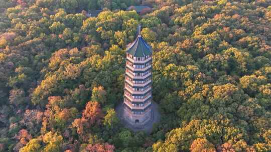 南京 灵谷塔 秋景 南京秋天 秋色 历史建筑