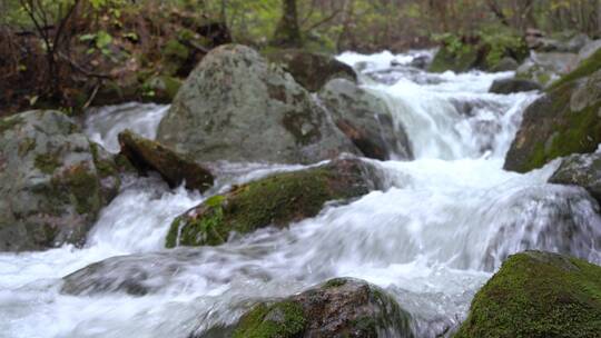 水源泉水溪水白酒小溪河流山泉水