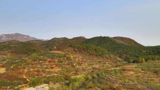 东北辽宁乡村秋景航拍视频素材模板下载