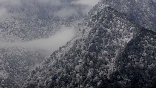 高原高山山峰山顶雪淞寒冷