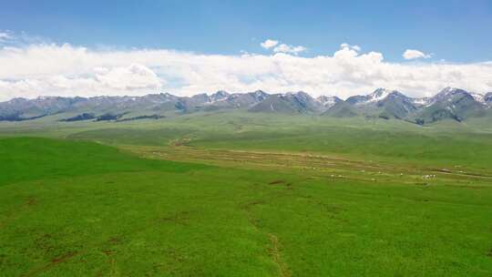 草原风光 草原河流 大好河山 壮丽山河