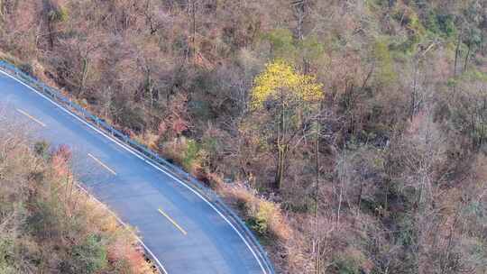 春分之日的五尖山森林公园风光