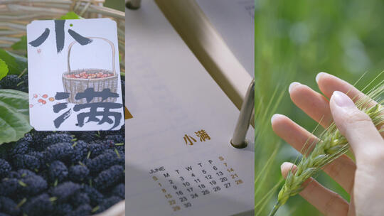 【竖屏】小满合集夏天节气农业小麦丰收空镜高清在线视频素材下载