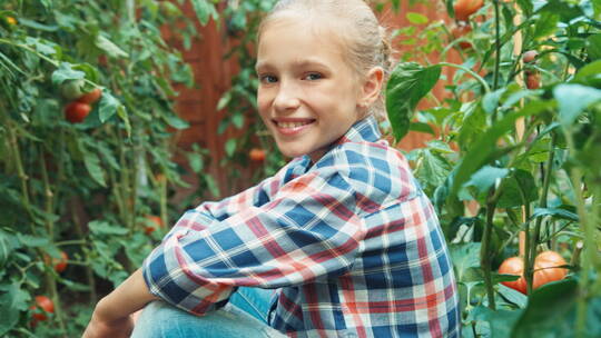 小女孩坐在菜园子里摘西红柿