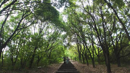 常州舜过山森林公园实拍