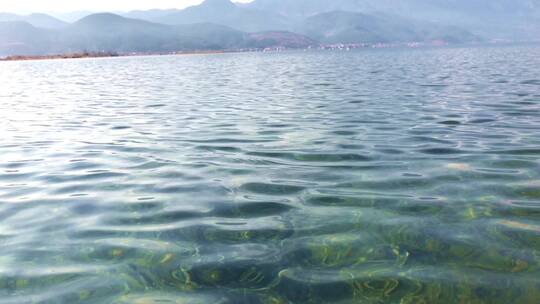 泸沽湖海边游船喂食海鸟