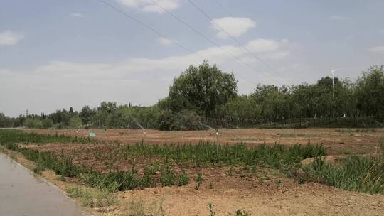 农田灌溉（手机拍摄）