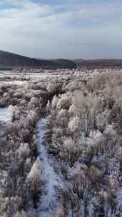 竖屏航拍大兴安岭雪原湿地雾凇241102 (4)