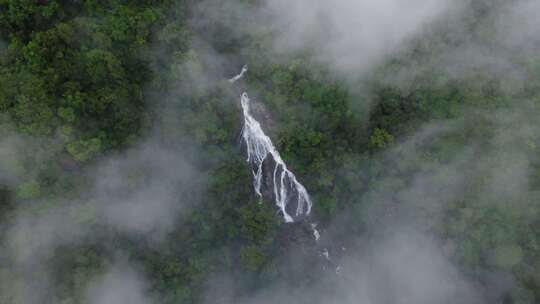 航拍雨林里的瀑布视频素材模板下载