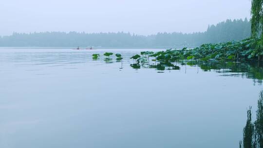 杭州西湖雨雾天自然风光与湖面上划艇的人视频素材模板下载
