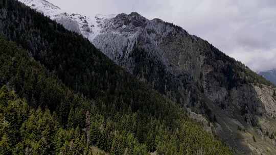 白雪覆盖的山脉和森林高清在线视频素材下载