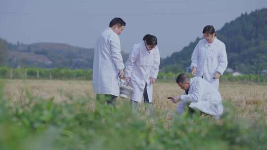 农田土壤研究现代农业育种基地