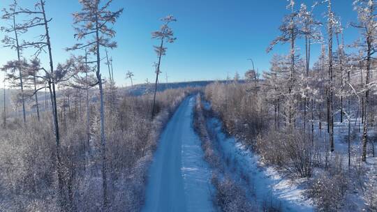 航拍林海雪原雪林山路