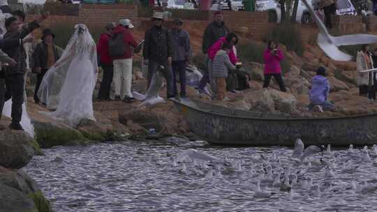 海边新娘与人群海鸥同框场景