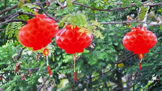 新年春节挂灯笼视频