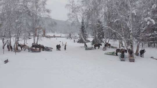 新疆 禾木 雪屋 航拍 冬季