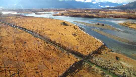 航拍西藏林芝雅尼湿地尼洋河雅鲁藏布江大地视频素材模板下载