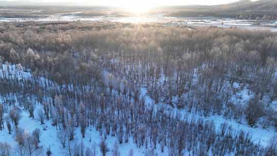 雪原阳光树林唯美雾凇