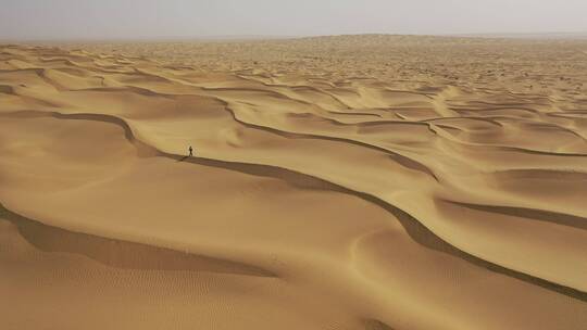 新疆塔克拉玛干沙漠一个人在行走视频素材模板下载