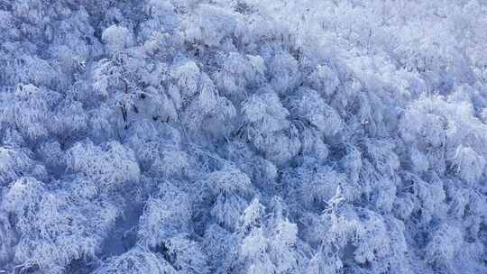 秦岭分水岭  冰雪世界