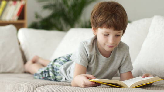 男孩趴在沙发看书