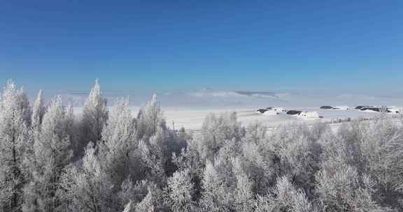 大兴安岭雪松航拍