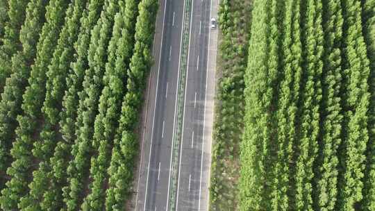 航拍内蒙草原公路风车