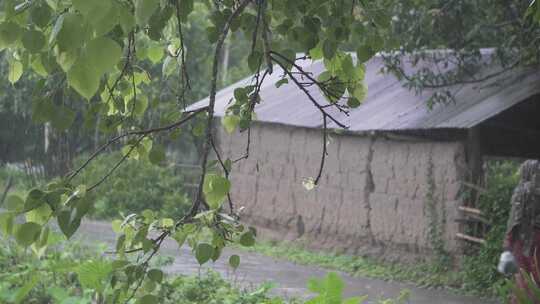 下雨时，一个女人正在乡村街道上散步。