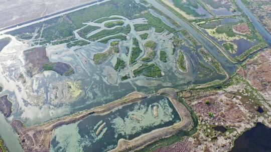 航拍江苏盐城九龙口自然保护区农田湖景