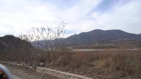 旅行 沿途 风景 公路 树