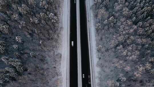 空中拍摄白雪覆盖的树木之间的道路