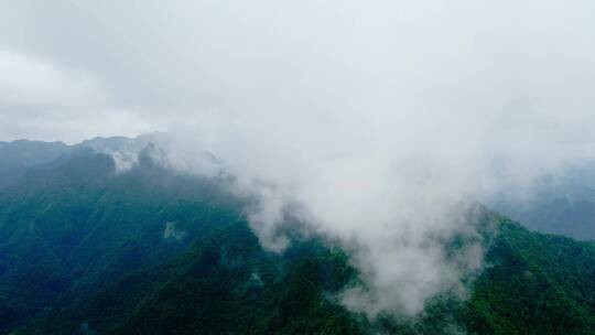 云海中的山峰