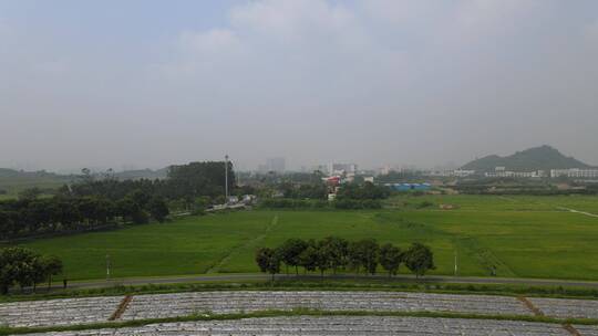 光明小镇 欢乐田园 田园