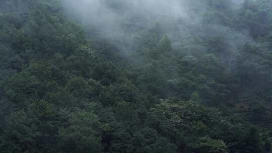 山雾自然风景