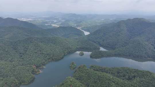 信丰金盆山国家森林公园