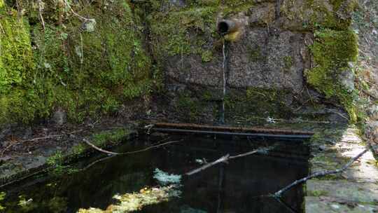 喷泉在长满苔藓的纳维亚桥下缓缓滴水