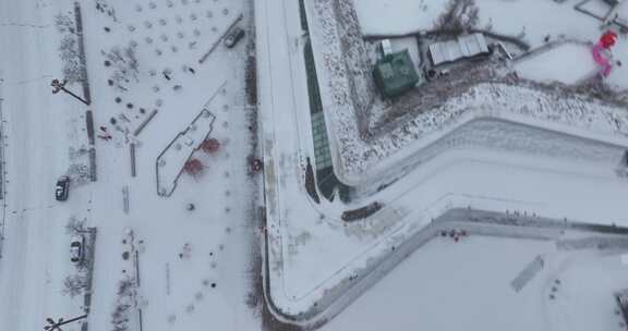 雪后树林中人们与动物的互动场景