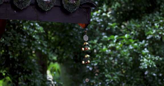 江南杭州西湖园林庭院夏天雨天合集