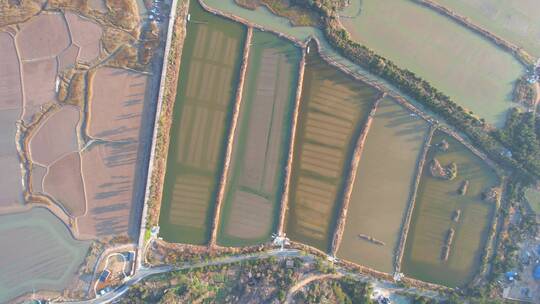 航拍 浙江沿海海岛滩涂养殖场视频素材模板下载