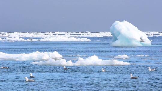 挪威斯瓦尔巴群岛海冰漂浮经过搁浅冰山的实时流动