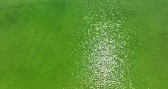 清澈见底波光粼粼的绿色盐湖