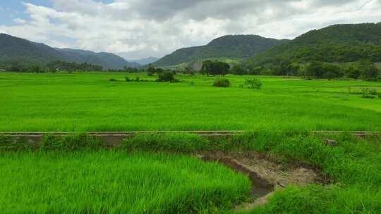 山水田园夏日乡村