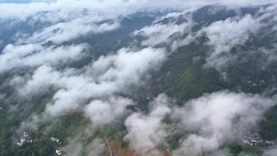 大雾清晨云雾大山云海森林自然云山脉山区