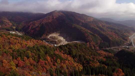 秋天日本阿尔卑斯山上空的一只苍蝇及其秋叶